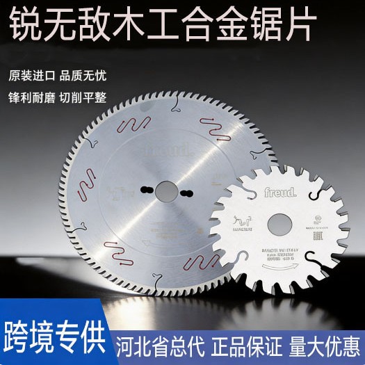 Woodworking Saw - Lama per sega di precisione Rui