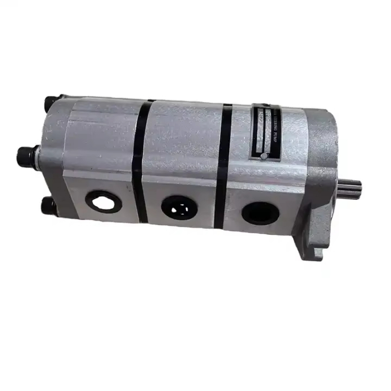 Pompa a Ingranaggi RC101-61110 - Woodworking Online recensione e prezzo